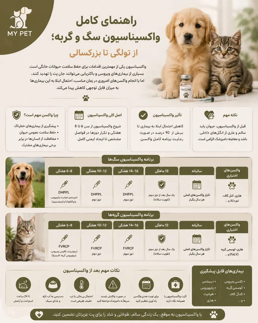 توضیح تصویر برای نابینایان:  این تصویر یک اینفوگرافیک درباره مراقبت از سگ و گربه در فصل تابستان است. در سمت راست، یک سگ گلدن رتریور و یک گربه طوسی در کنار هم نشسته‌اند. در سمت چپ، نکات مهمی مانند تأمین آب تازه، جلوگیری از گرمازدگی، محافظت از پنجه‌ها، پیشگیری از انگل‌ها و رعایت نکات سفر با آیکون‌های ساده نمایش داده شده است. لوگوی MY PET در گوشه بالا سمت چپ قرار دارد و طراحی تصویر با رنگ‌های کرم و زیتونی، فضایی گرم و آرام را القا می‌کند.